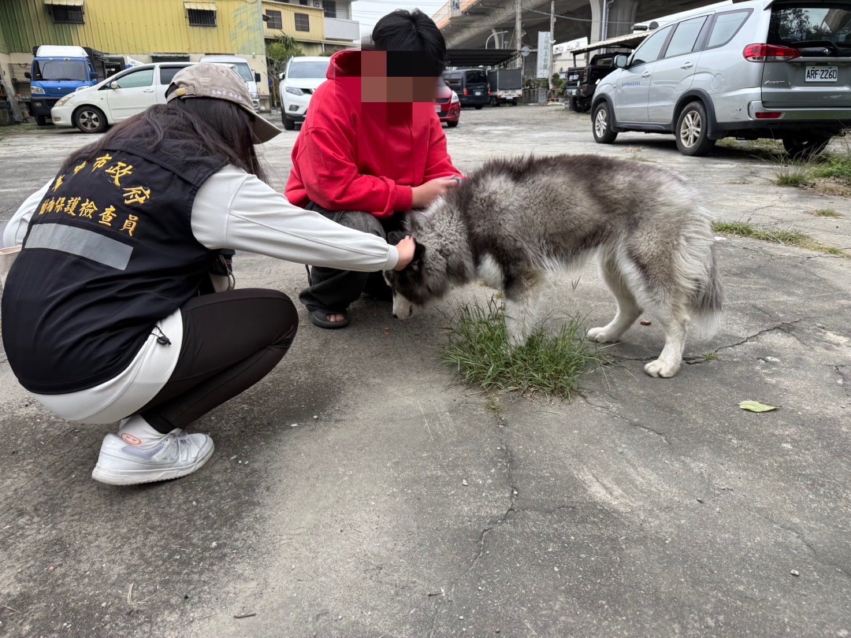 不容虐待動物！東勢區虐犬棄養　中市動保處將嚴懲 擬重罰22.5萬元