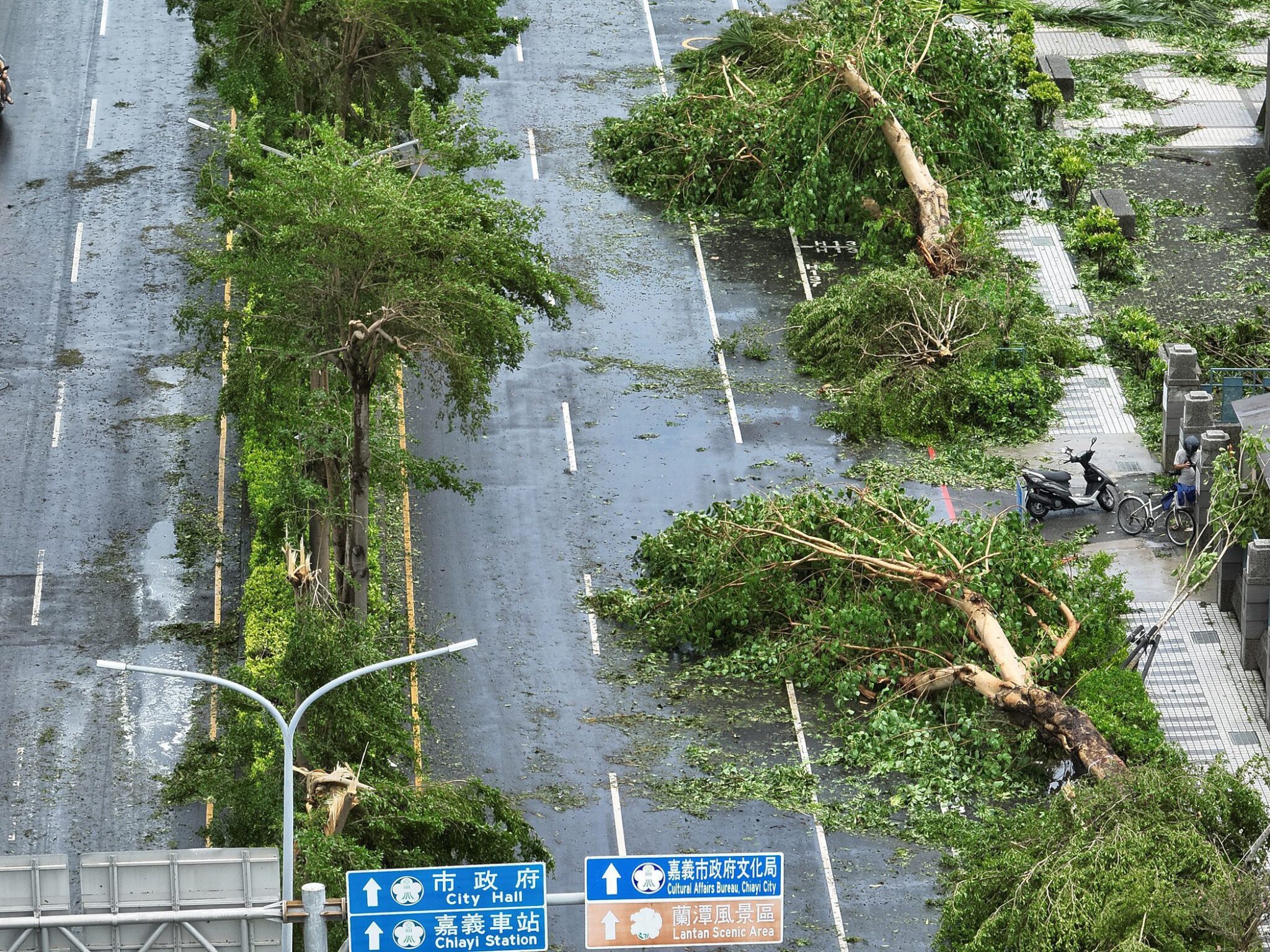 颱風丹娜絲侵襲　嘉市多處樹倒災情　蘭潭步道全面封閉搶修