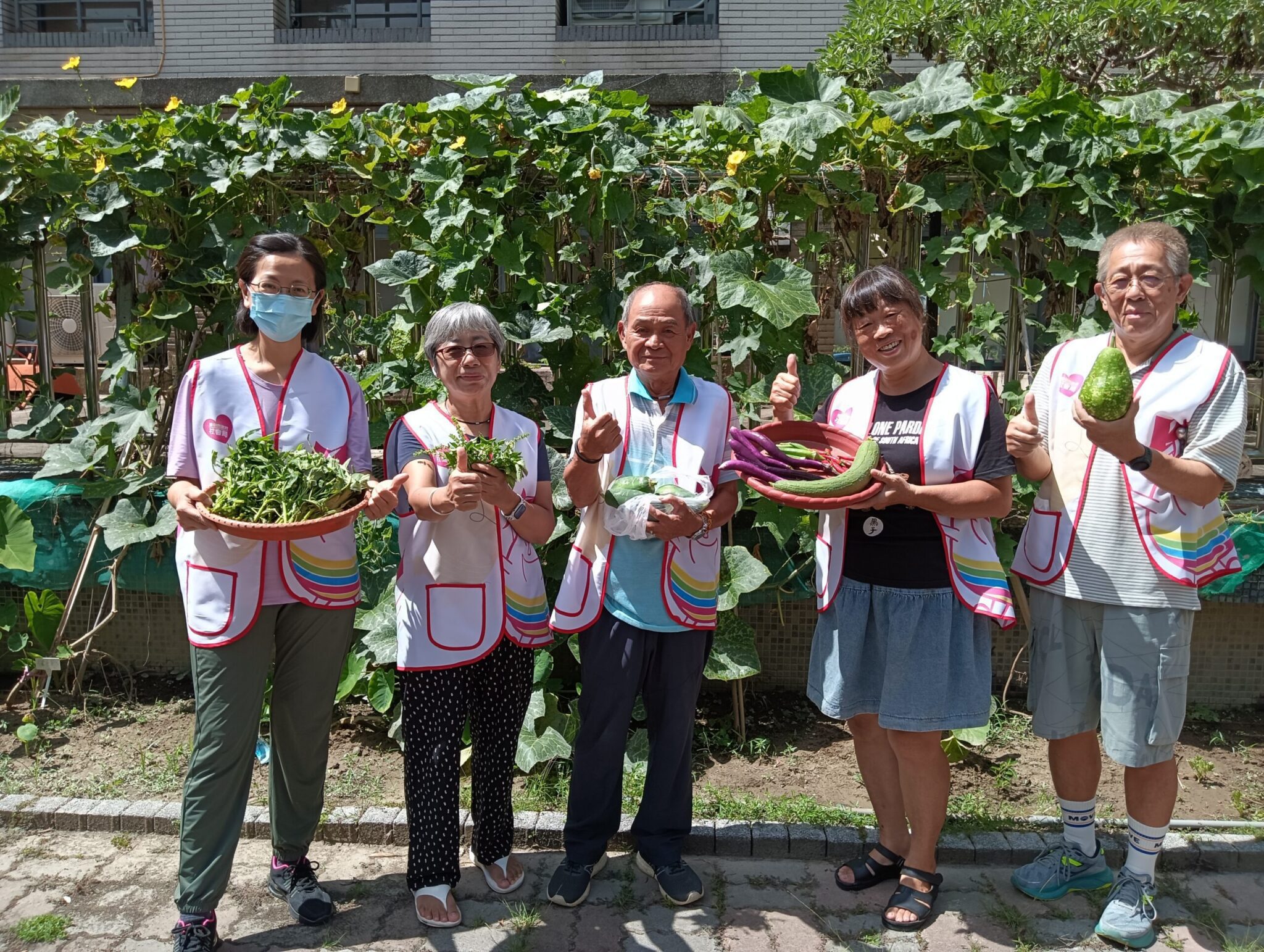 台中北屯家庭中心打造開心農場　蔬果贈500戶弱勢家庭