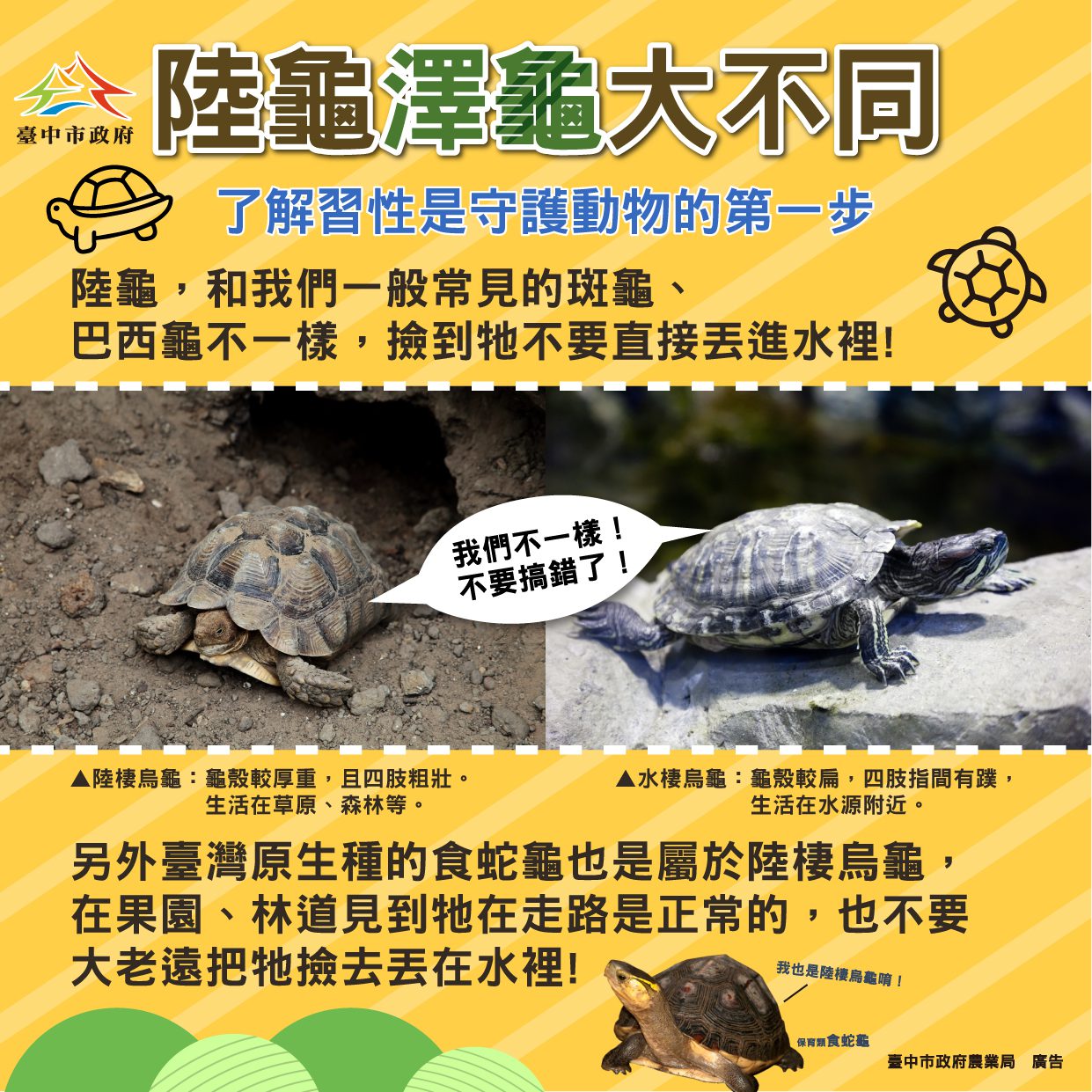 了解習性正確守護野生動物　中市農業局提醒「不干擾、不餵食、不捕捉」