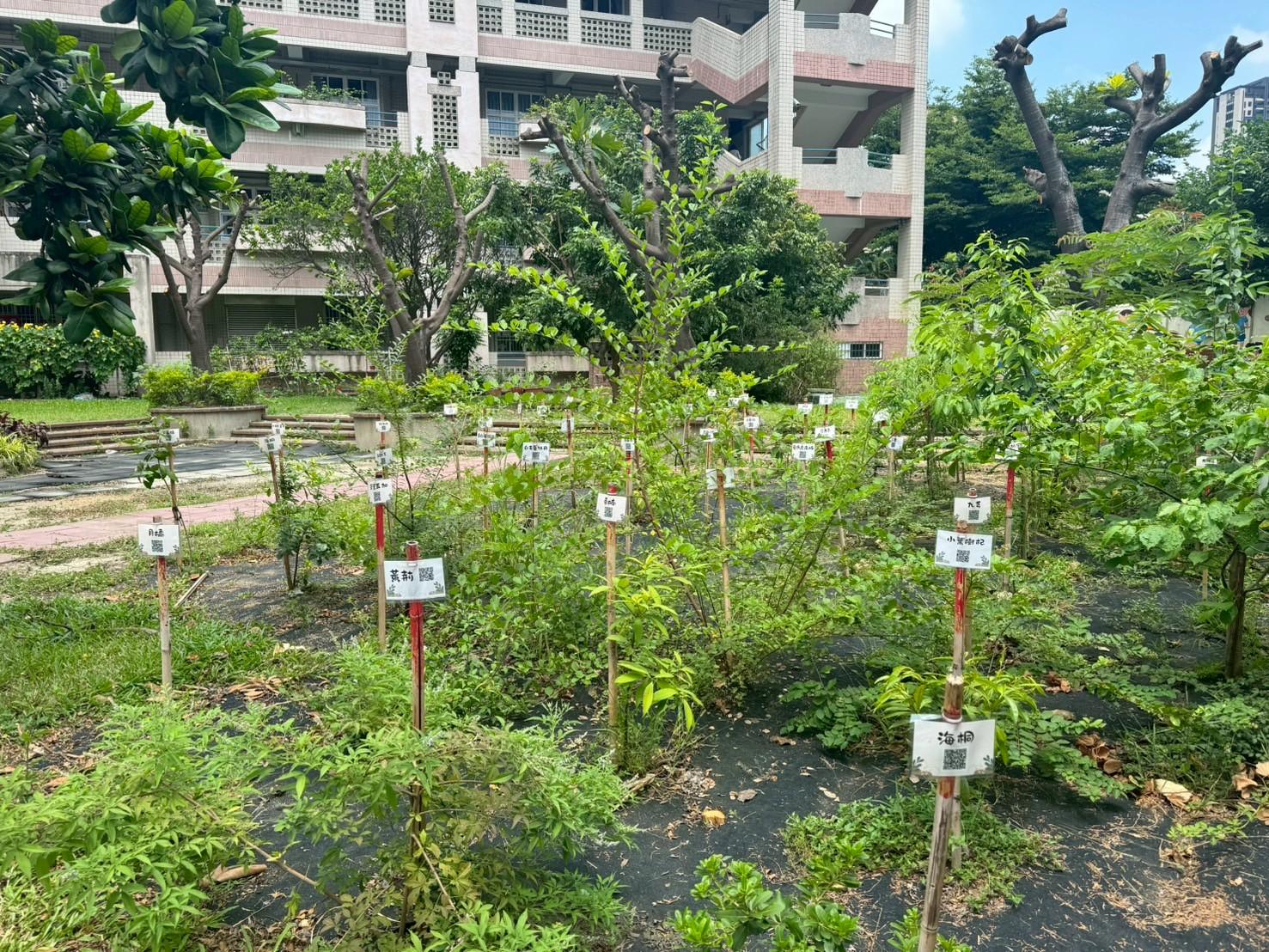從樹苗到森林　中市教師共同打造淨零綠校園藍圖