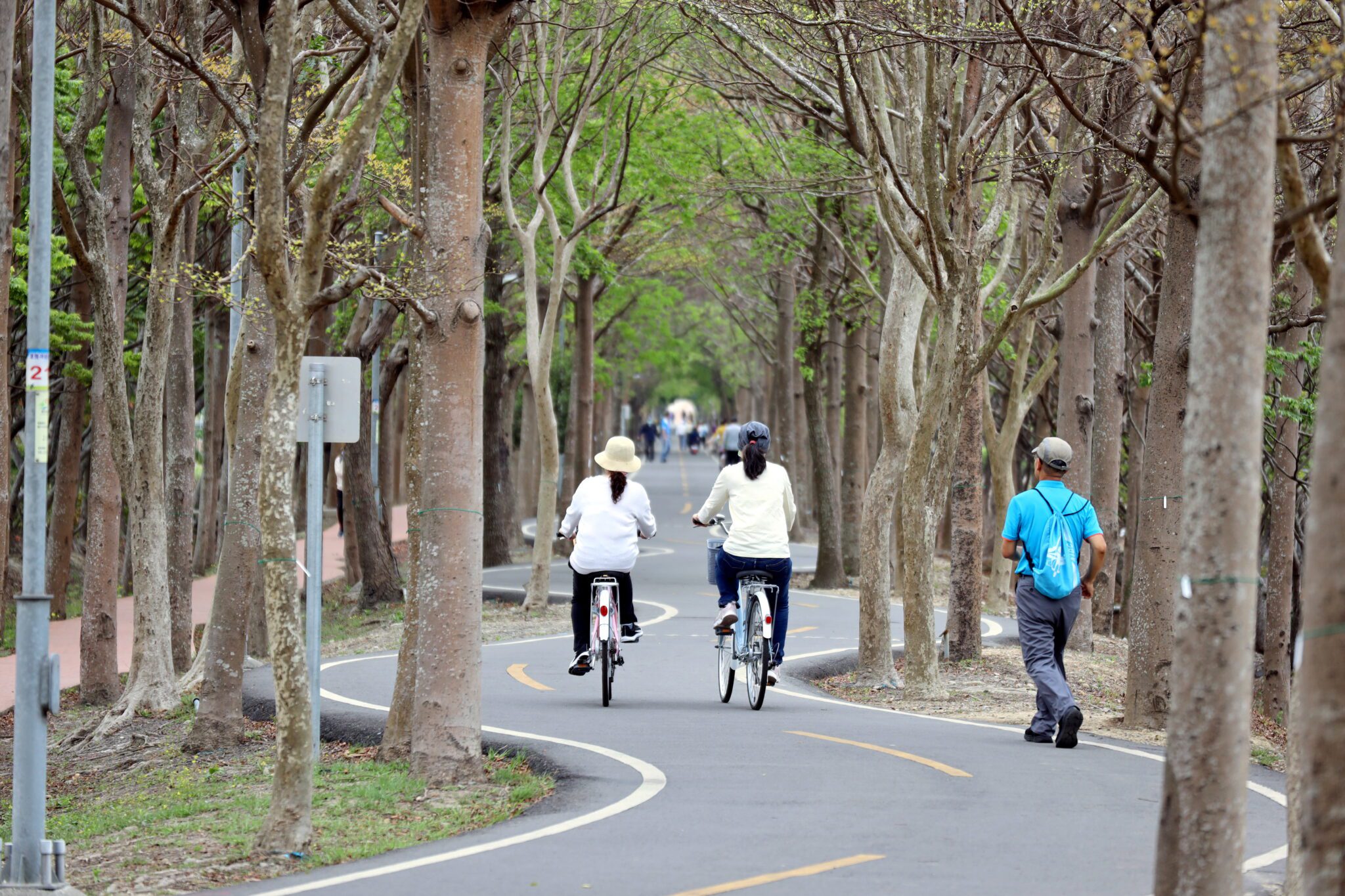 潭雅神綠園道「光環境與節點優化工程」開工！　 打造友善多元的休憩場域
