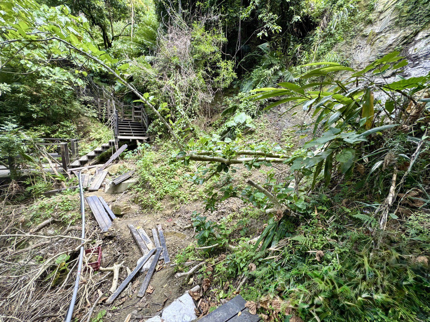 大坑10號登山步道全力加速復建 市府籲民眾配合封閉管制確保安全 大坑10號登山步道全力加速復建 市府籲民眾配合封閉管制確保安全
