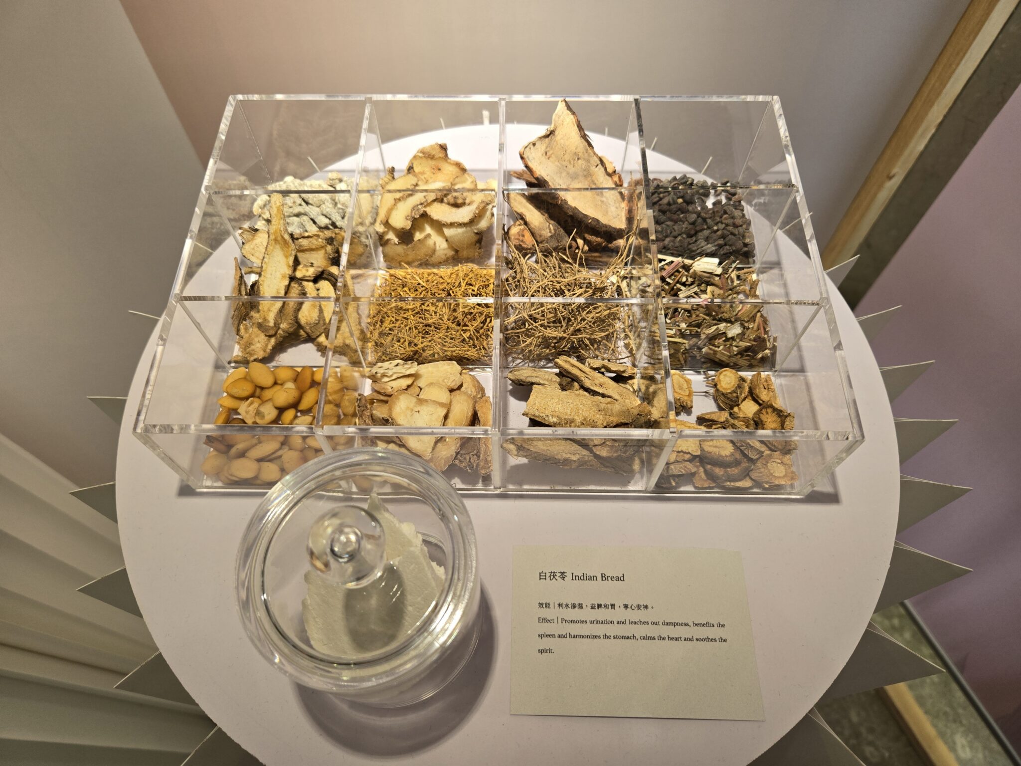 另類「美」展！　中市立夫中醫藥博物館特展 發掘中醫藥美顏智慧