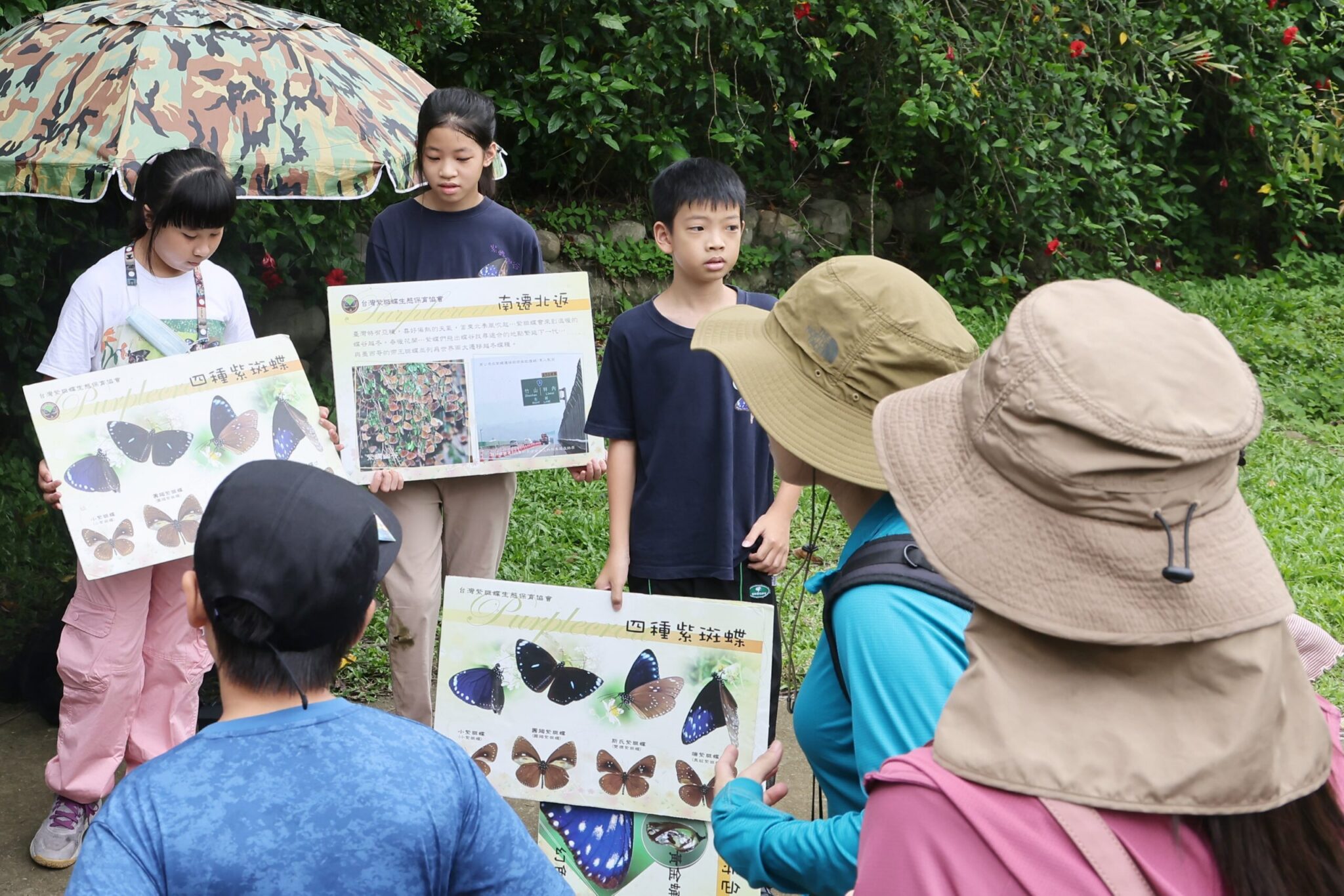 夏日山林化身賞蝶秘境！　大坑限定活動5/12開放報名