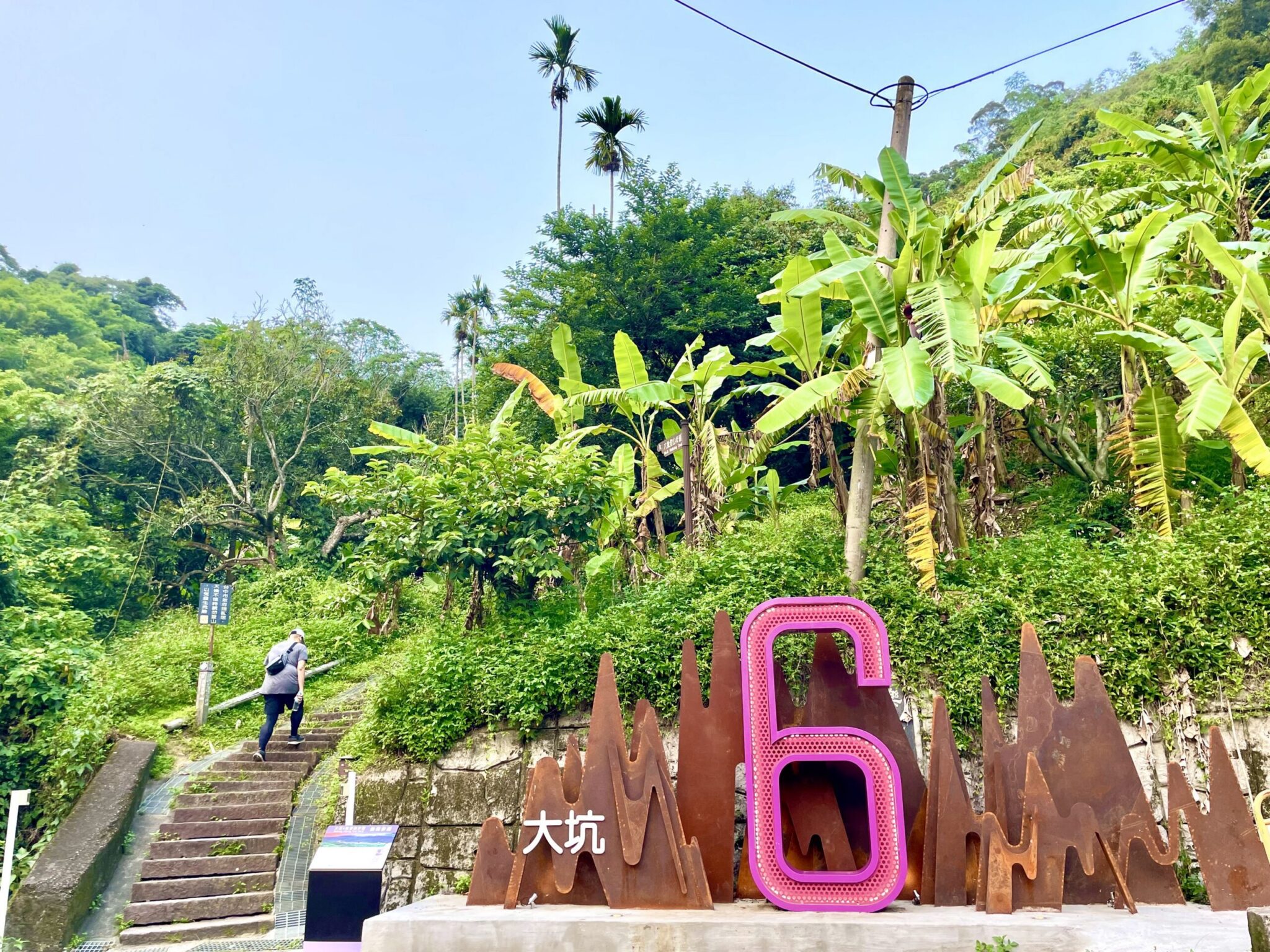登仙境、賞生態、嚐美食！　中市觀旅局邀民眾走進大坑6號仙境步道
