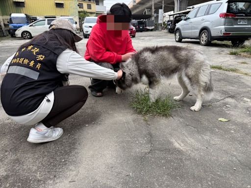 東勢虐犬案裁罰出爐！　中市動保處祭最重罰共22.5萬元、列飼養黑名單