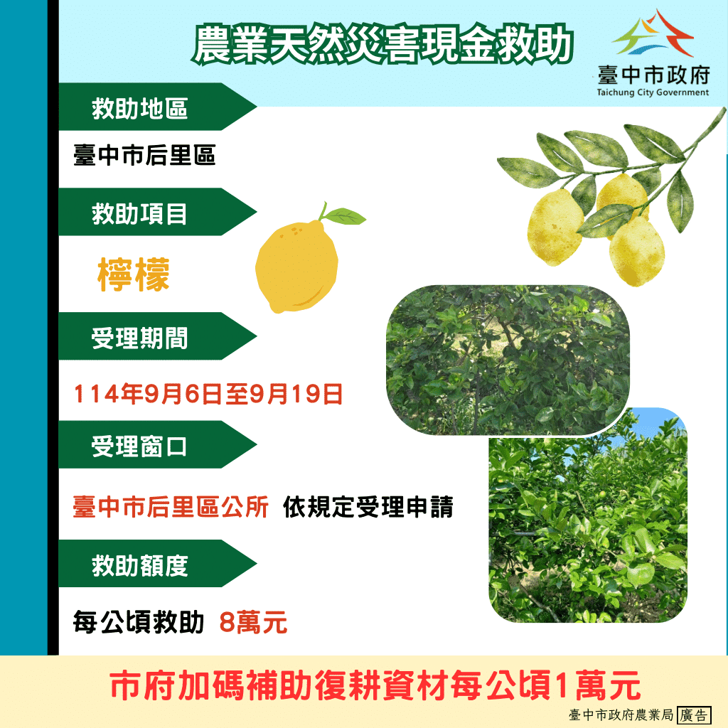 中市后里區檸檬災損 　9/19前可申請現金救助