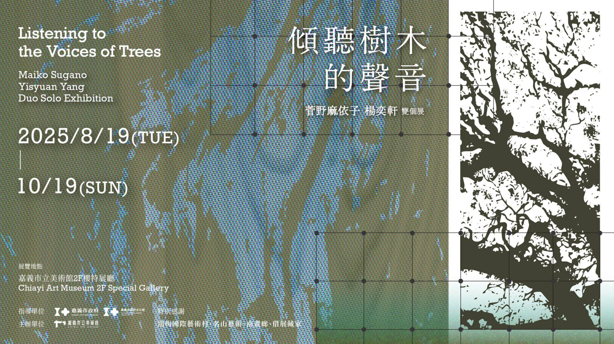 嘉美館新展揭幕　《傾聽樹木的聲音》探索自然與人類的對話