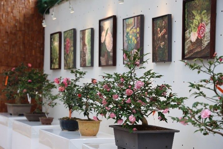 臺北茶花展1/10魅力登場 愛與夢想的花藝饗宴 臺北茶花展1/10魅力登場 愛與夢想的花藝饗宴