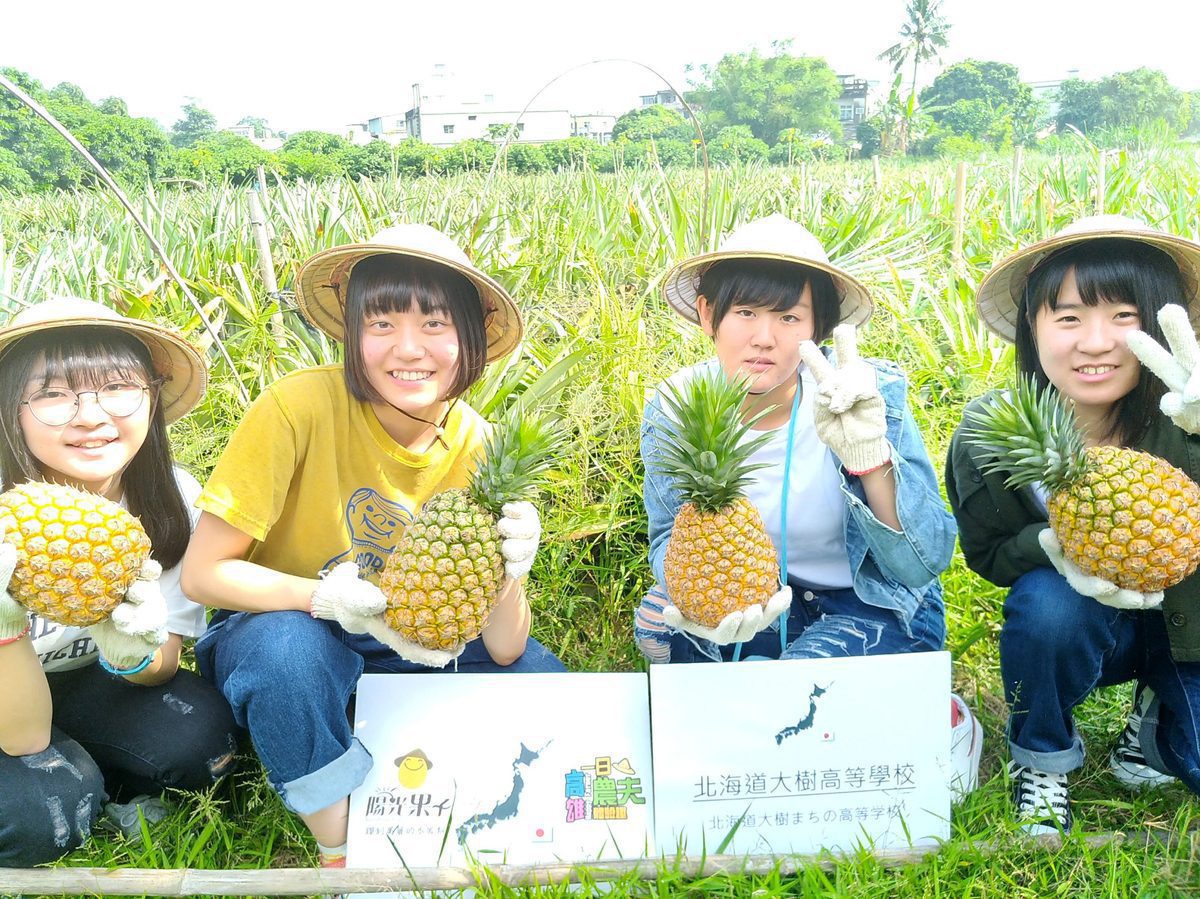 高雄農村國際發光　菲律賓旅遊市場青睞「一日農夫」
