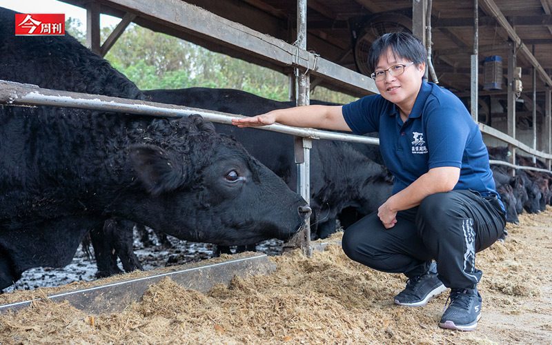 她學長照11年前卻回雲林接家業，養安格斯牛成全台最大牧場…晶華軒、山海樓等米其林餐廳都是客戶