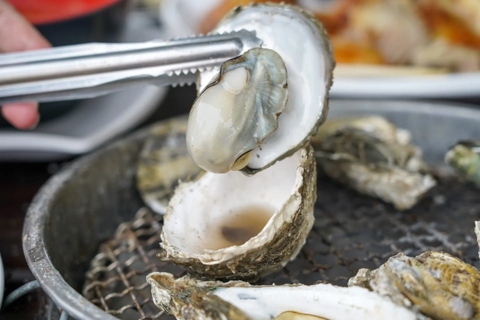 不想備料也能輕鬆享美食 嘉義東石烤蚵吃到飽迎中秋 不想備料也能輕鬆享美食 嘉義東石烤蚵吃到飽迎中秋