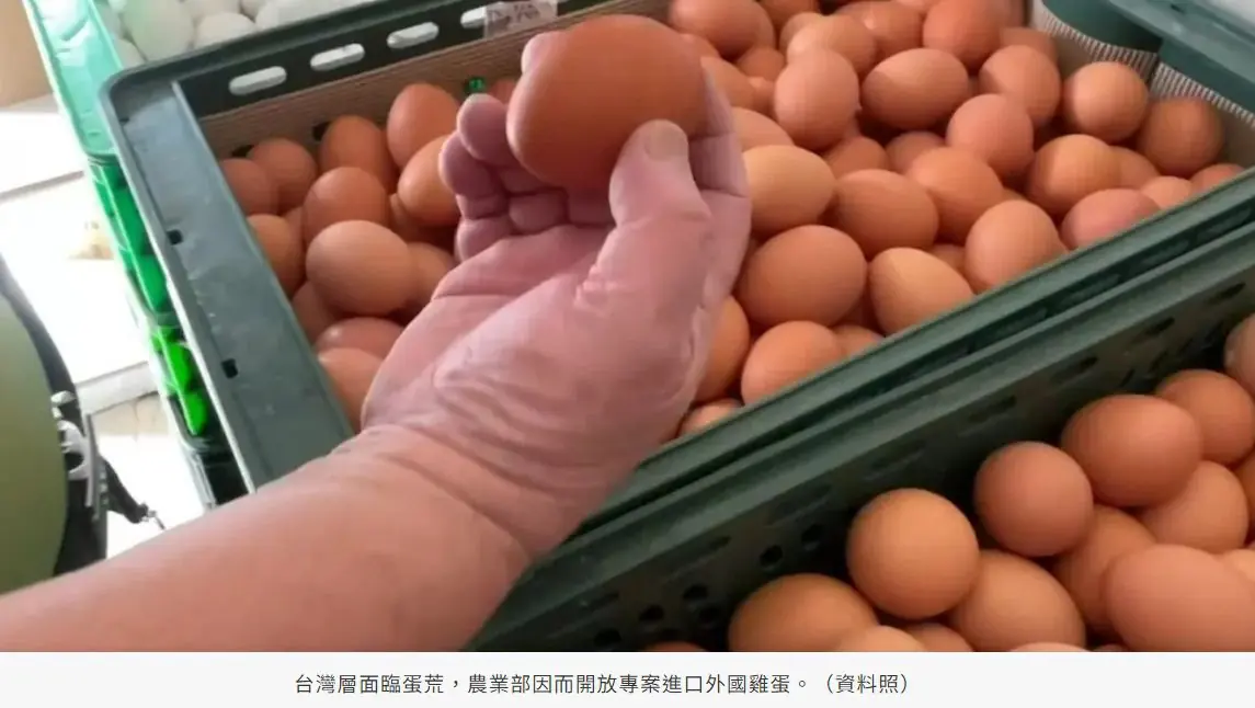 進口蛋涉弊!超思負責人女兒吳諭非「1人分飾3角色」 一條龍操作曝 進口蛋涉弊!超思負責人女兒吳諭非「1人分飾3角色」 一條龍操作曝