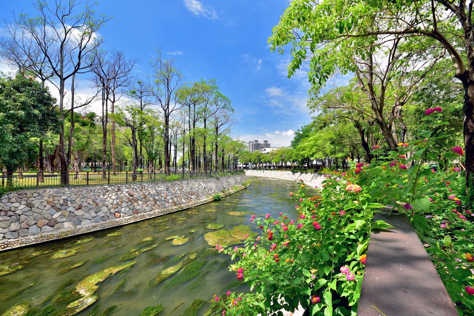 中市水利局「一所大學守護一條河」　提倡環教永續 「綠川興大段」打開校園與河岸界線