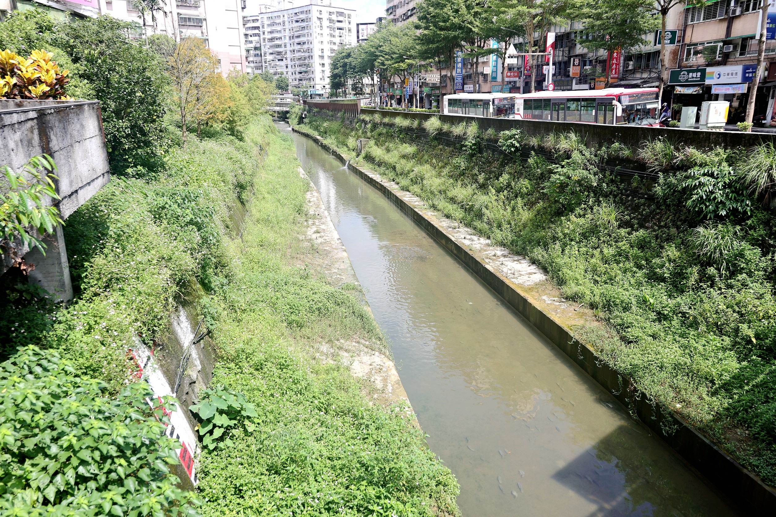 基隆首創「複合式立體防災」　沙德爾颱風前夕謝國樑視察大武崙溪防汛整備　