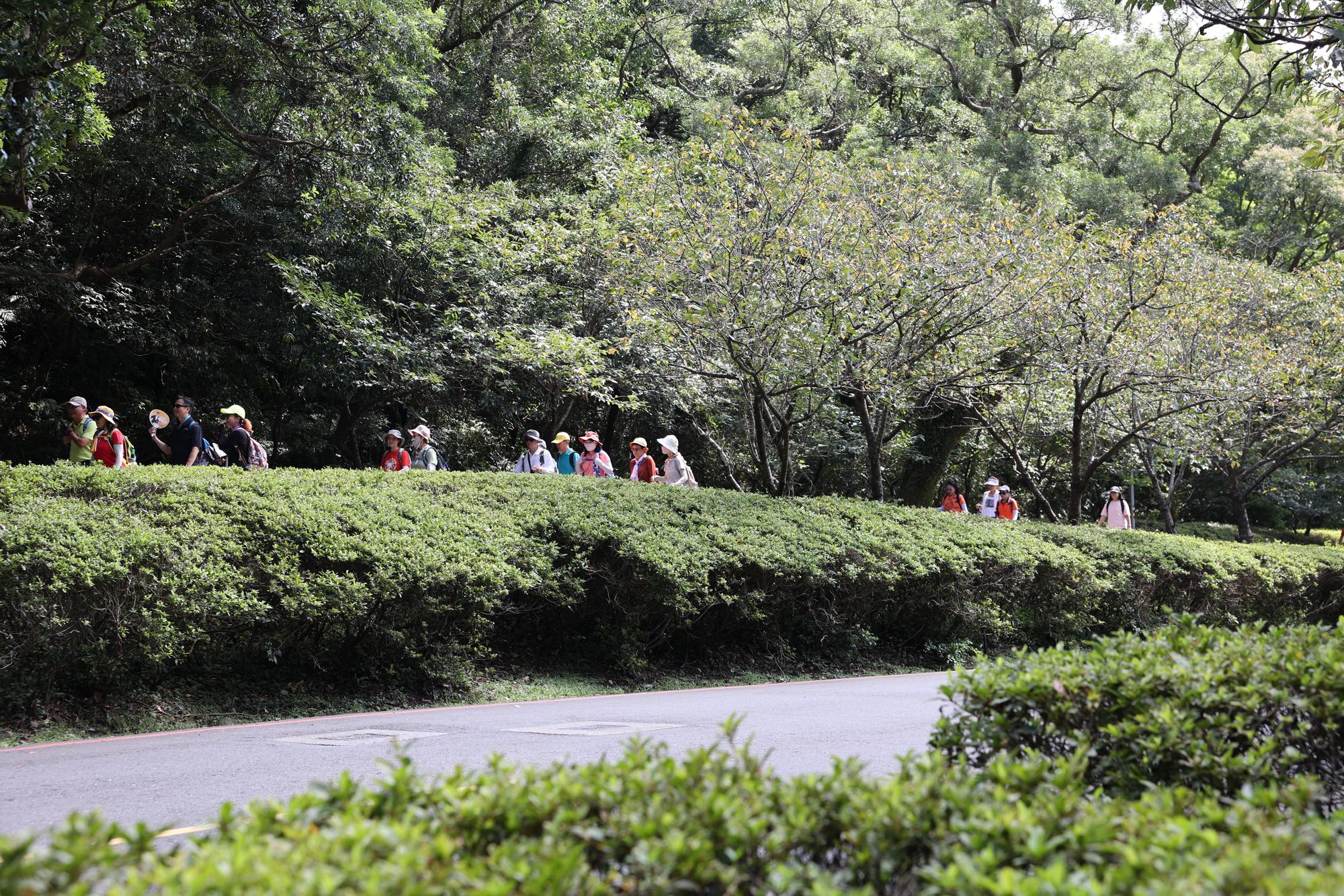 不費力愜意小旅行　陽明山徒步指南