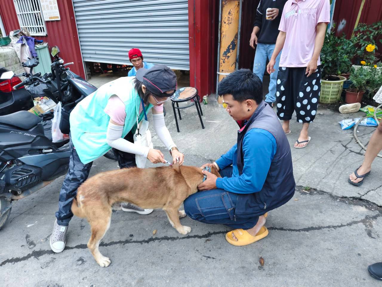 愛到最高點！　中市動保處前進梨山 響應928世界狂犬病日