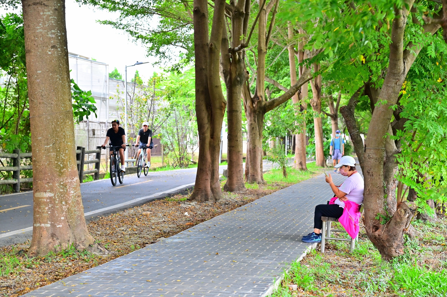 潭雅神綠園道人行空間再升級！　投入2,480萬元改善　人車分道完成率達63.85%
