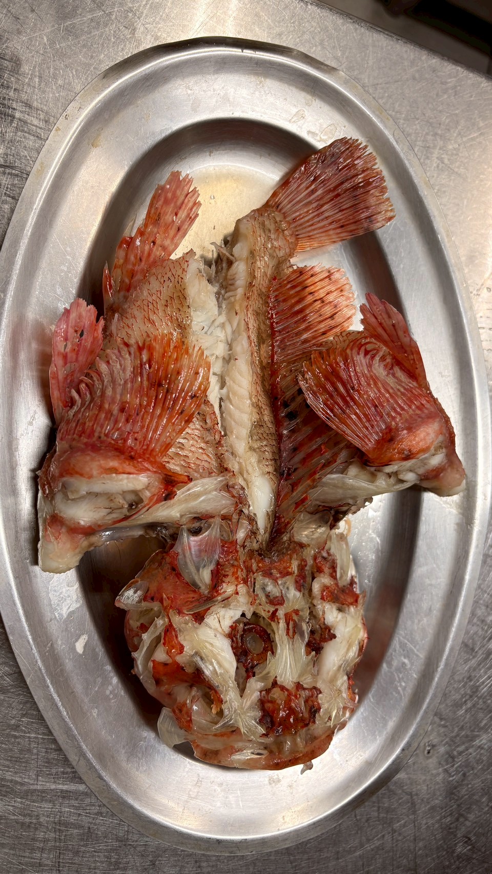 外表帶刺肉質鮮甜　新北漁港限定海味「石狗公」正是時候