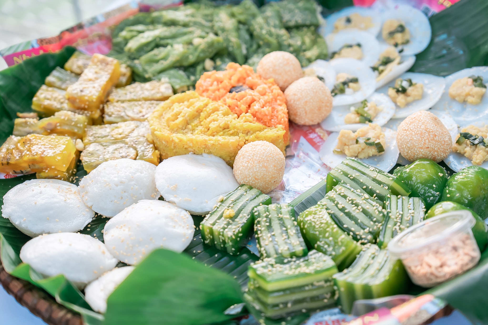 綠美圖打造「無界花園」　與越南社群共育台中多元文化風景