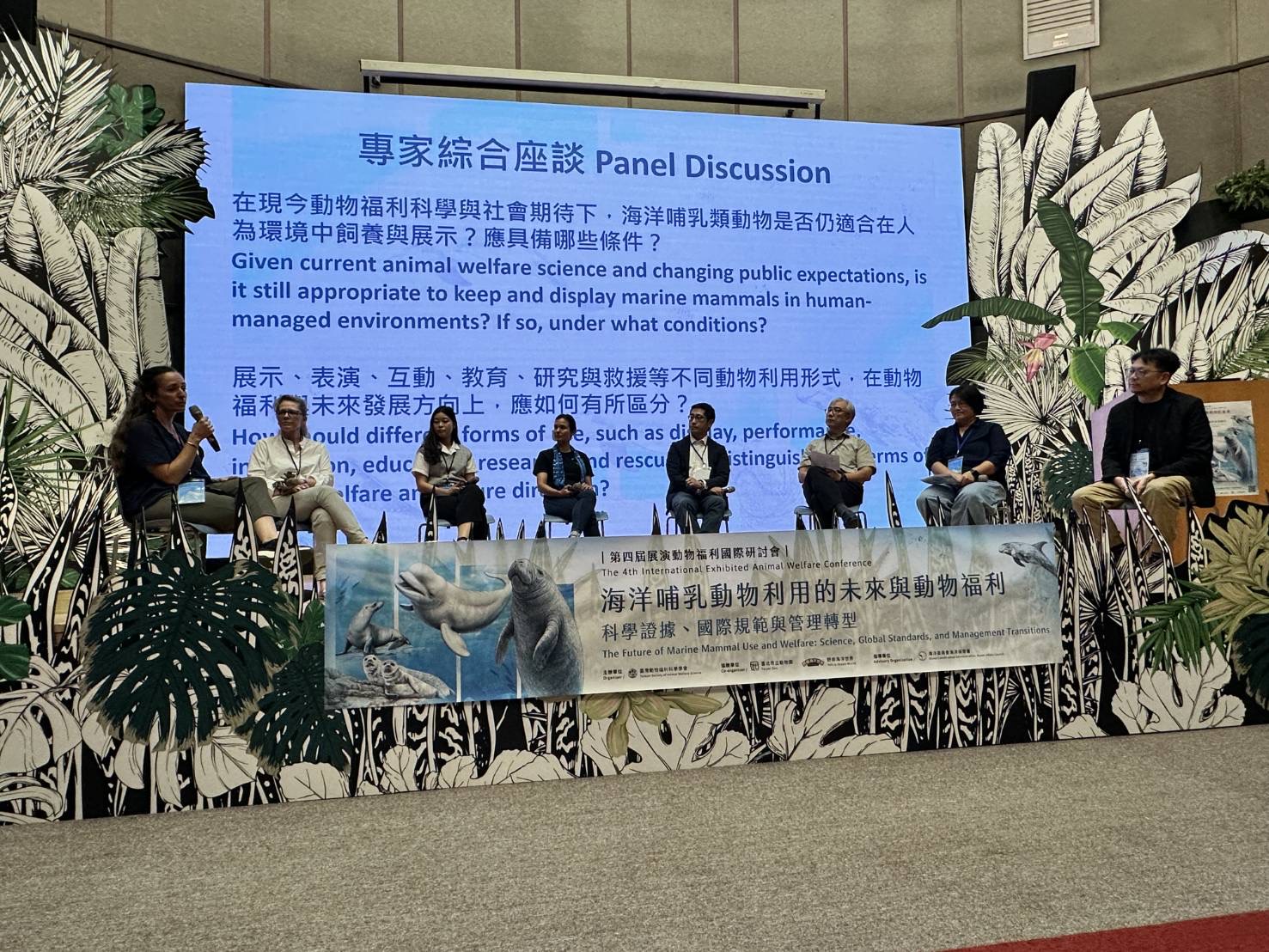 海保署聚焦鯨豚動物福利　攜手國際專家共議展演管理轉型