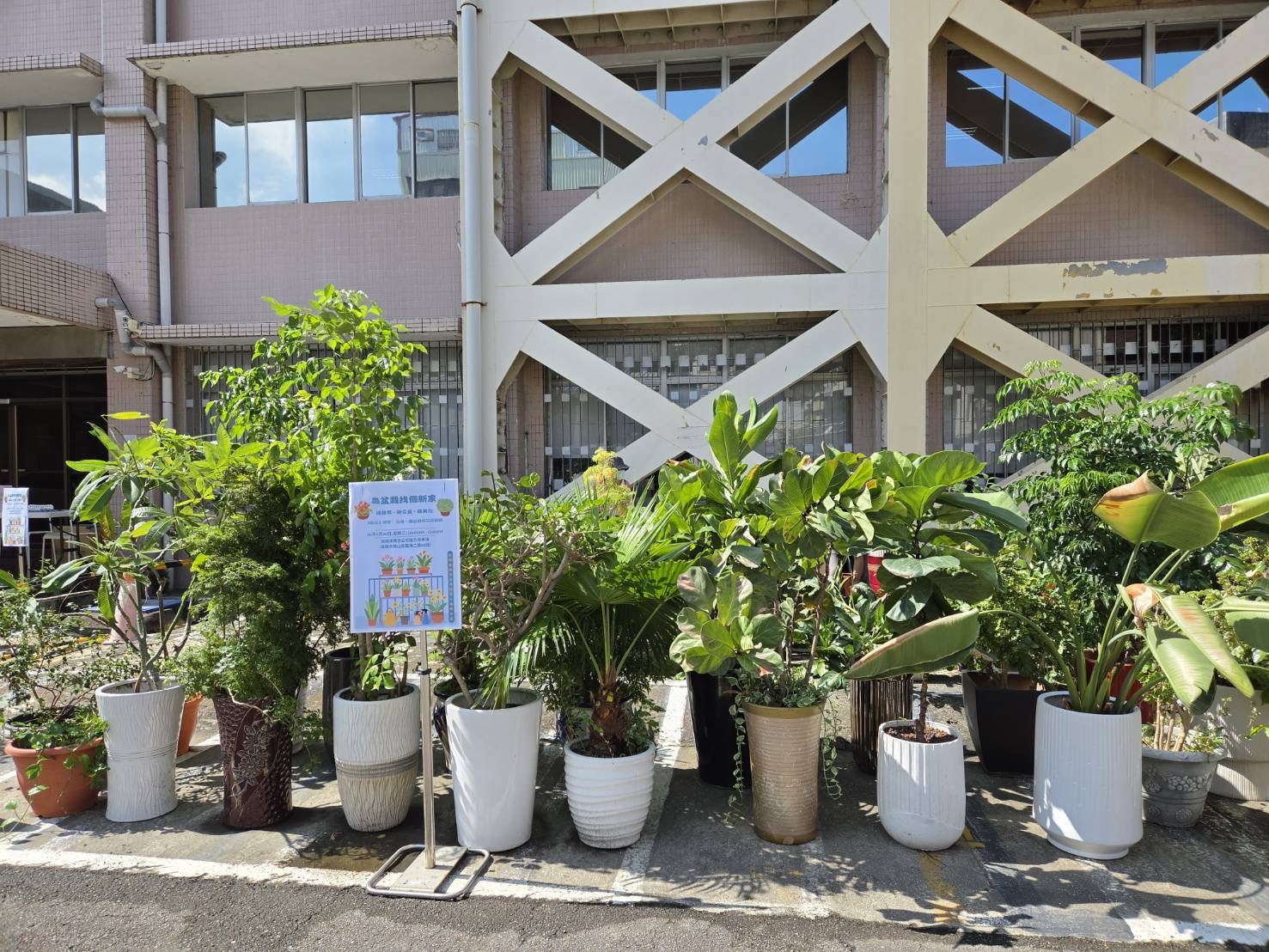 高雄港務分公司　「為盆栽找個新家」圓滿落幕　植栽再利用　延續年度公益活動