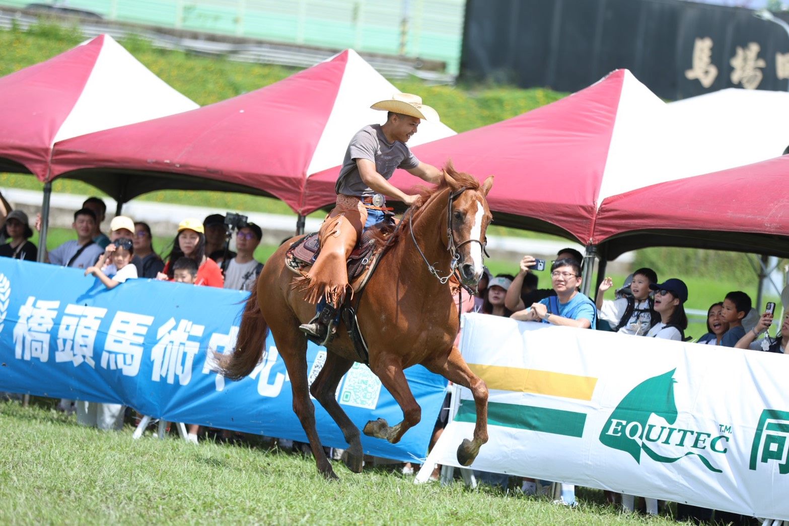 昔日馬術重鎮再現風華！馬場町嘉年華　大小朋友搶騎馬