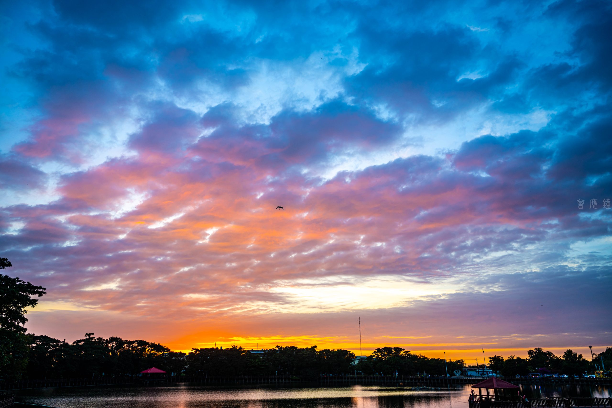 天鵝湖上風災後　雲影夕照映平波