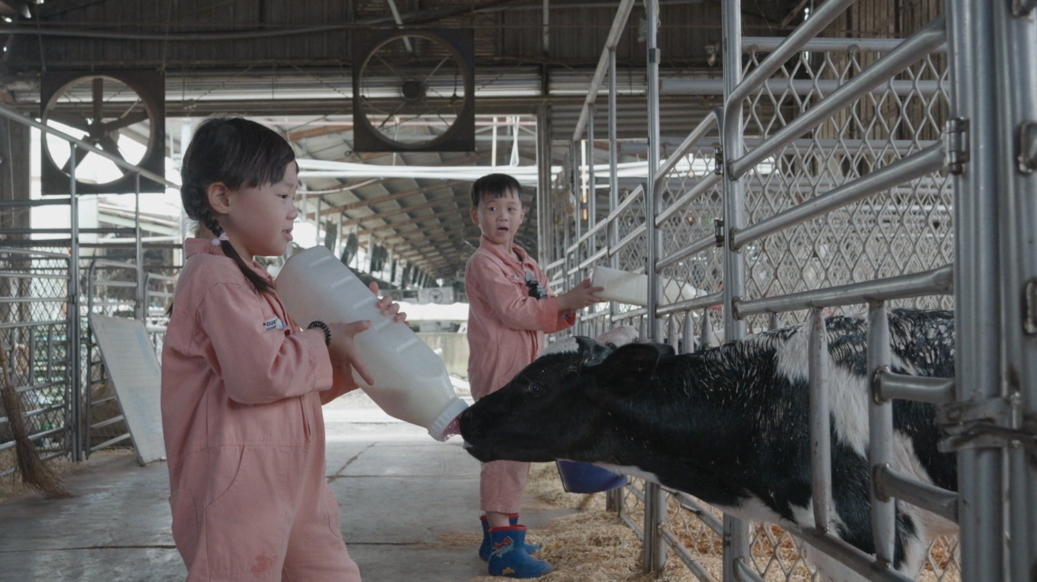 開箱 13 位牧場小主人的家 養200條蛇 幫巨蜥剪指甲