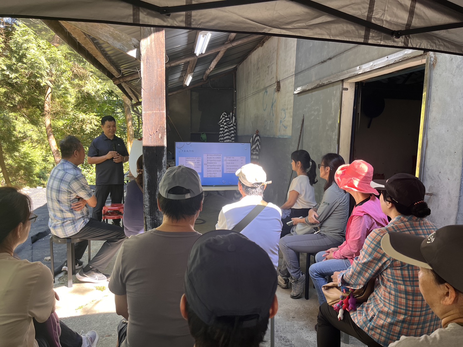 租地造林地也能種山茶！南投推林下經濟　鏡頭直擊穿山甲