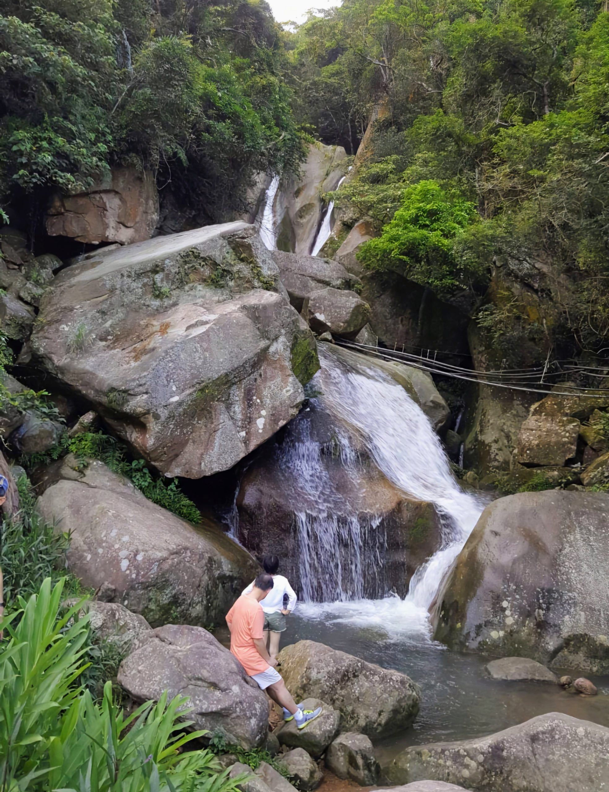北市小旅行不用出城！大溝溪畔聽秋語　忠勇山頭賞秋光