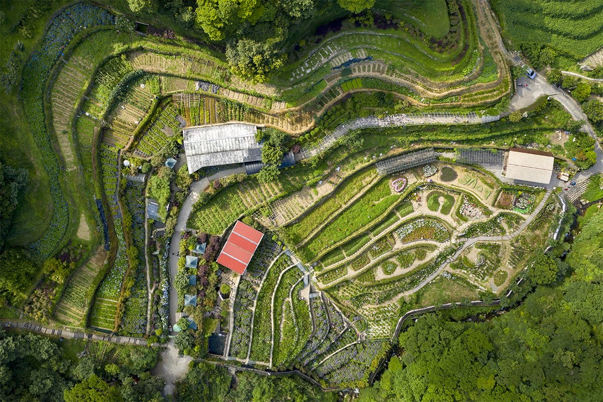 竹子湖溪畔步道漫遊 循著水聲走進山間田園