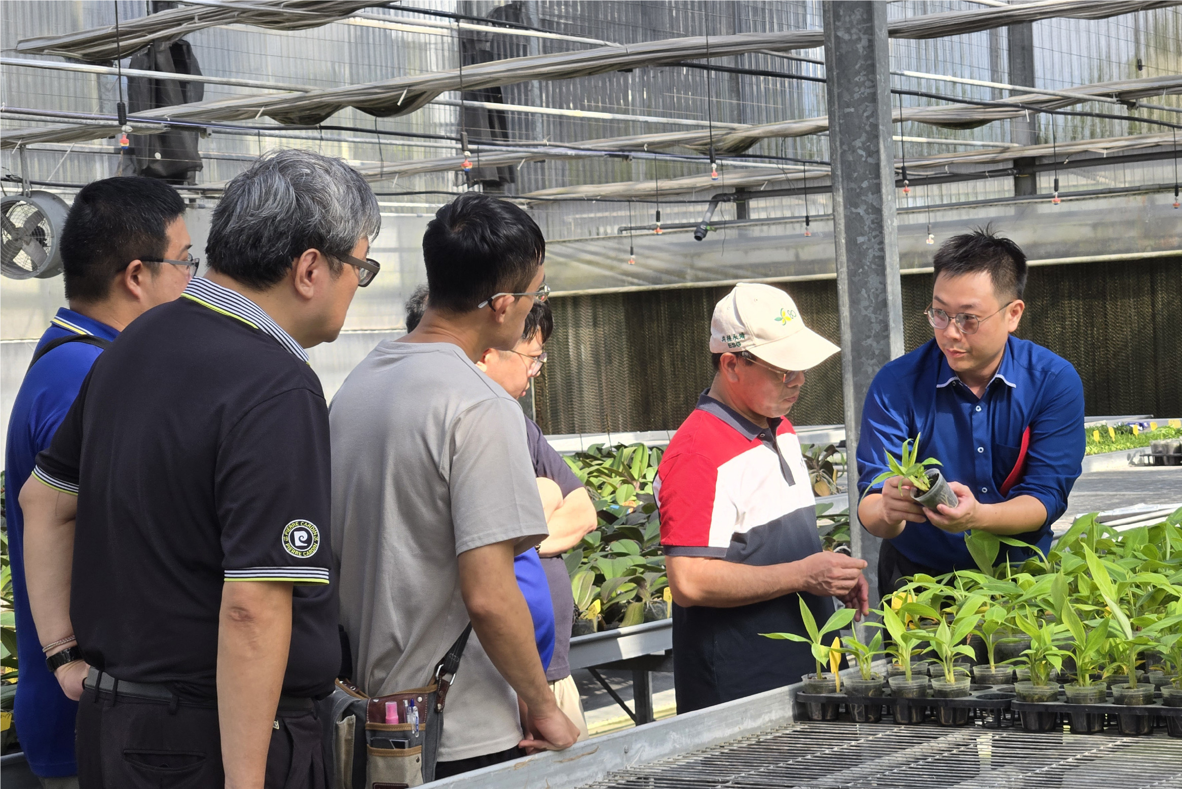 元樟生技攜手順天堂簽署合作契約　推進中草藥種苗培育與栽培試驗