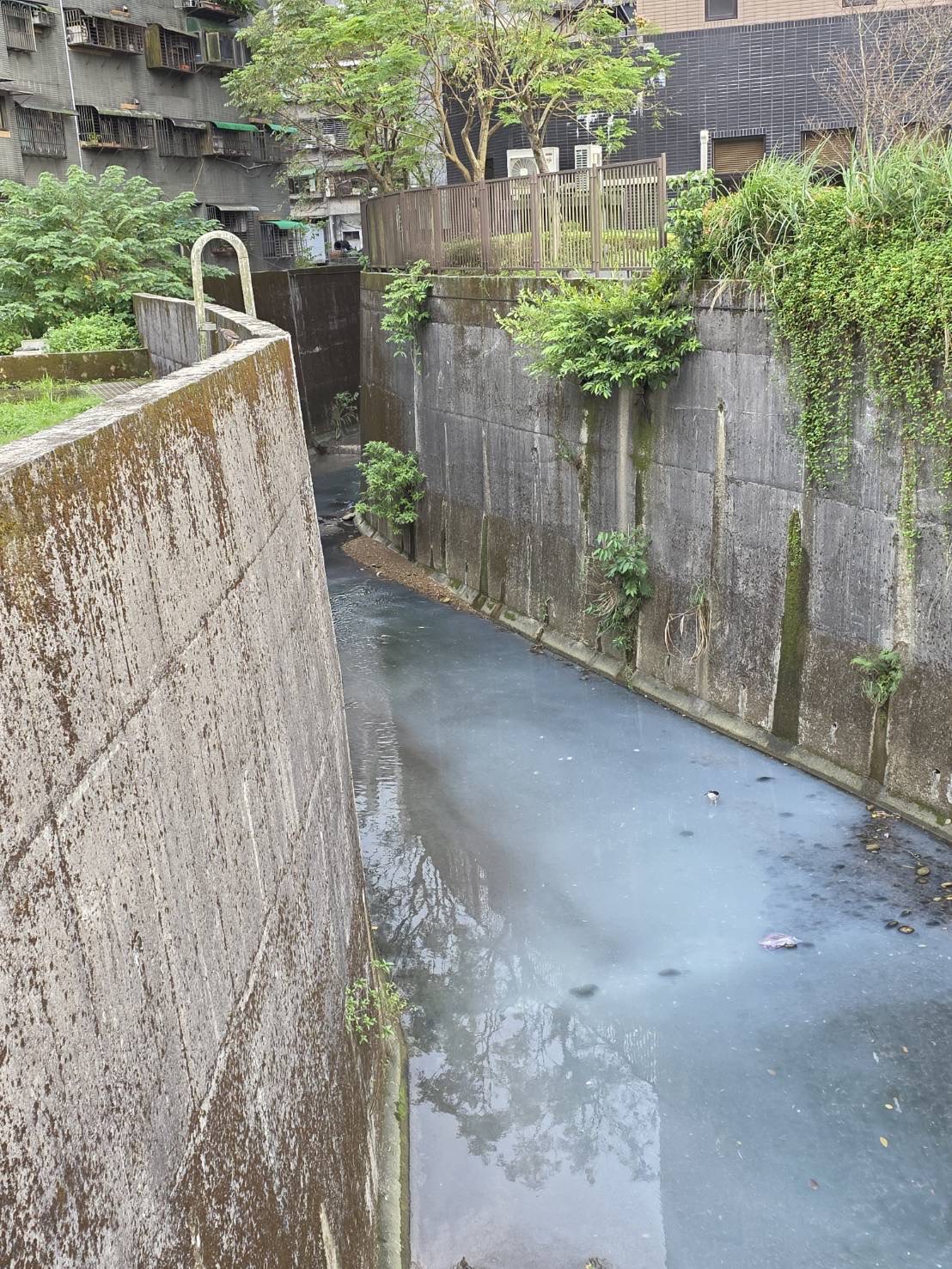 基隆河龍門大排現疑似污染泡沫 謝國樑指示追查水源、自來水供應正常 基隆河龍門大排現疑似污染泡沫 謝國樑指示追查水源、自來水供應正常