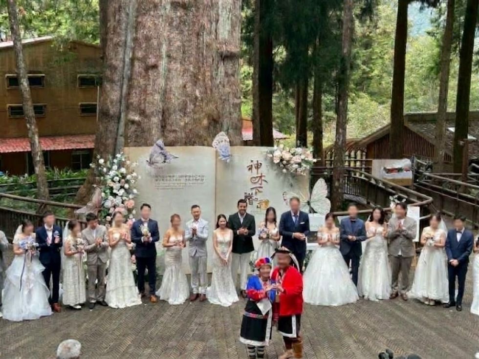 星空下見證愛情！阿里山神木下婚禮20周年　蜜月套房送5千