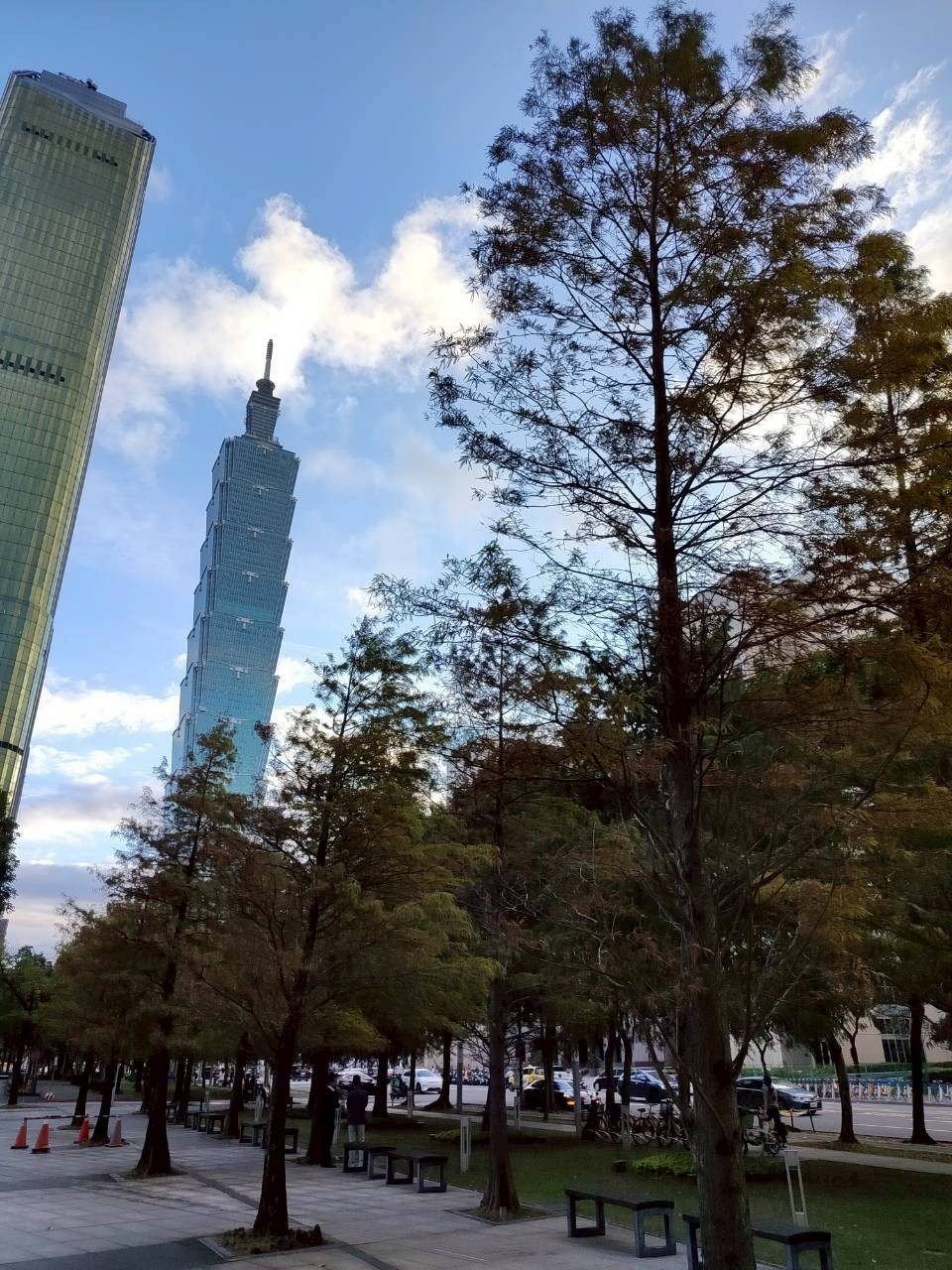 五彩燈飾高高掛　北市信義商圈林蔭濃濃節慶感