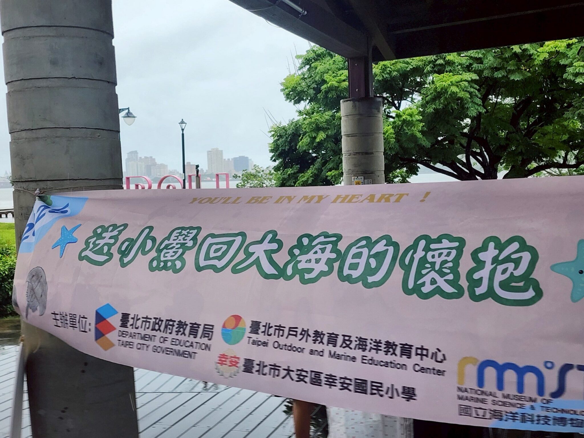 千隻鱟寶寶回家了！北市40校學子用行動守護海洋生態