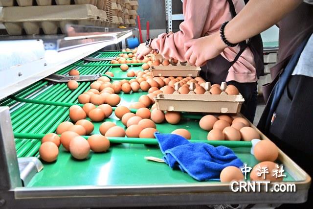 台美零關稅談判　彰化蛋農：農業會倒一片　陳秋池:保障本土產業生存為頭等大事