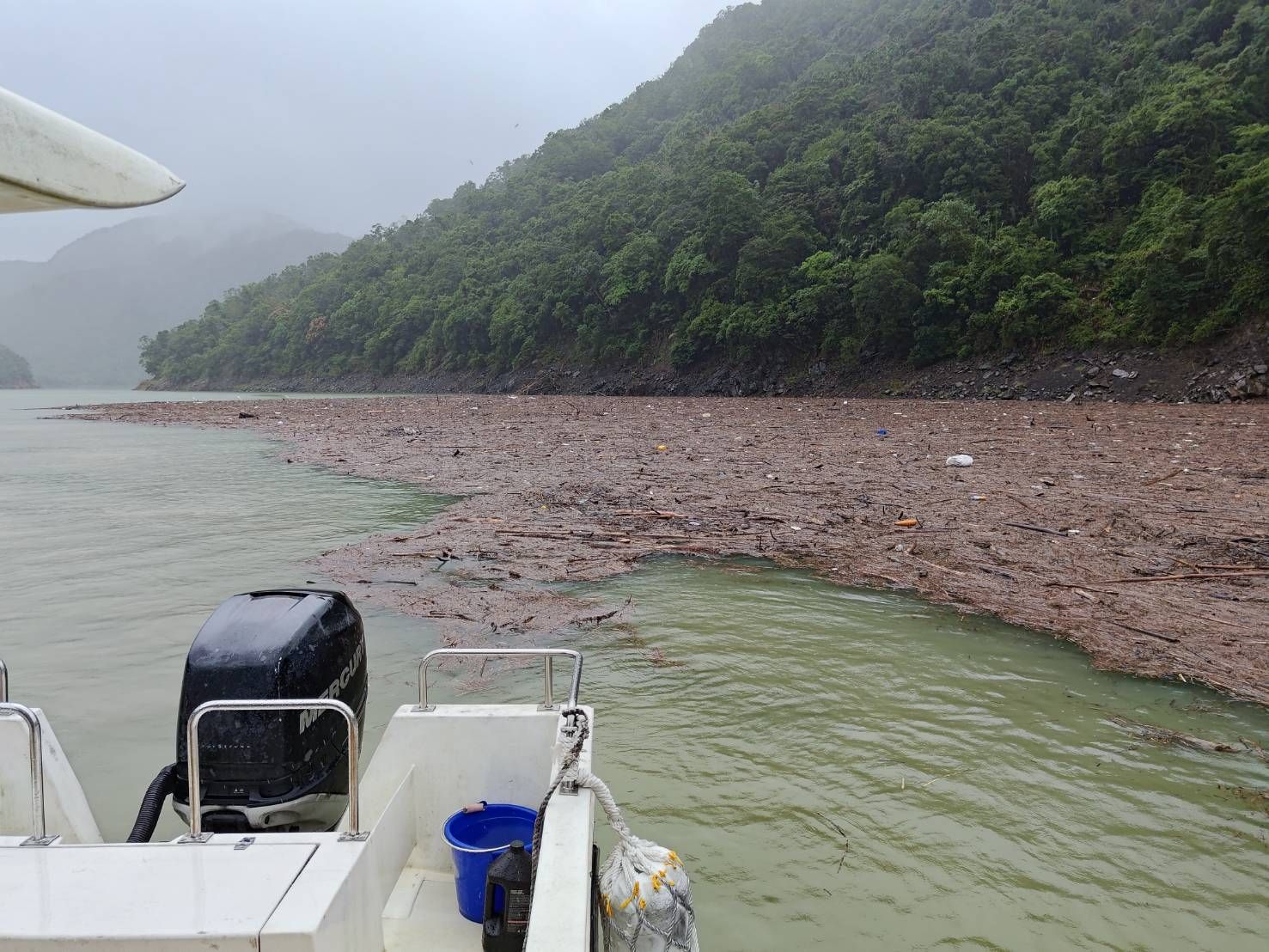 豪雨釀災！漂流木湧翡翠水庫　北水局即刻清汙捍衛大台北用水安全