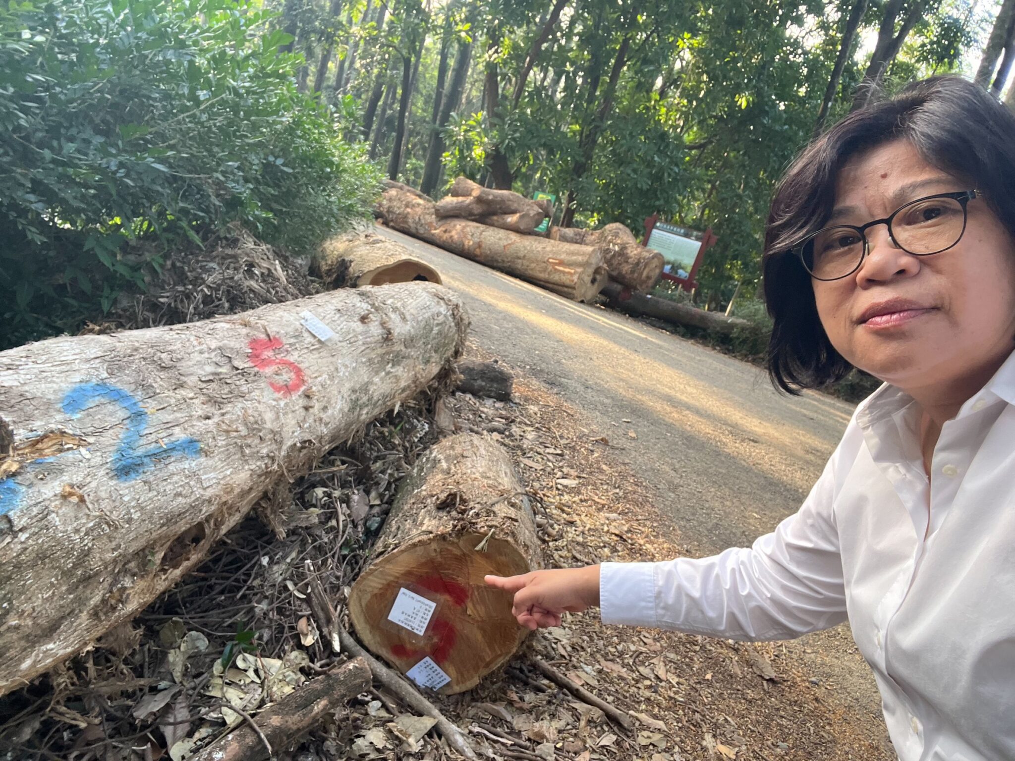 王美惠爭取經費獲農業部承諾 嘉義樹木園1500萬修復缺口解套 王美惠爭取經費獲農業部承諾 嘉義樹木園1500萬修復缺口解套
