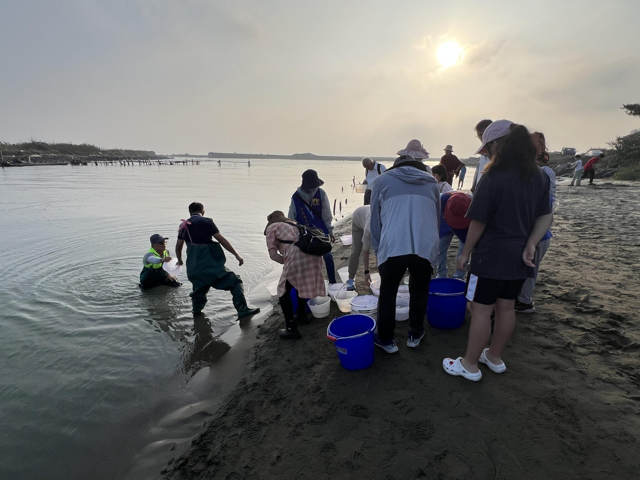 嘉義慈悲協會舉辦「琉璃大放流」　十萬蟹苗重返大海　讓生命再度呼吸