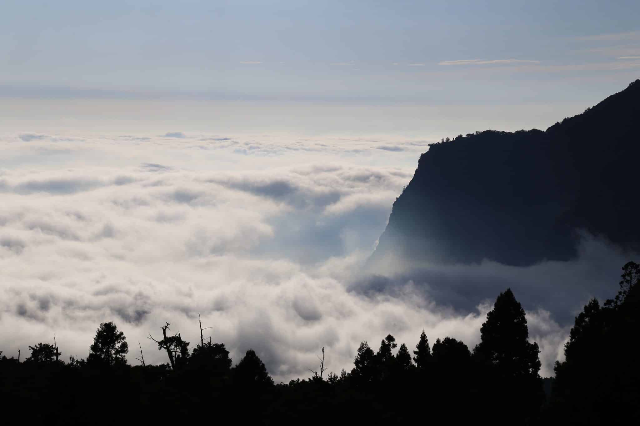 阿里山賓館推鐵道秘境   山村小旅行套裝遊程