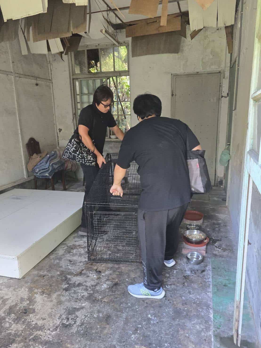 暖暖托嬰中心周邊流浪犬聚集　基市府該呼籲民眾勿餵養