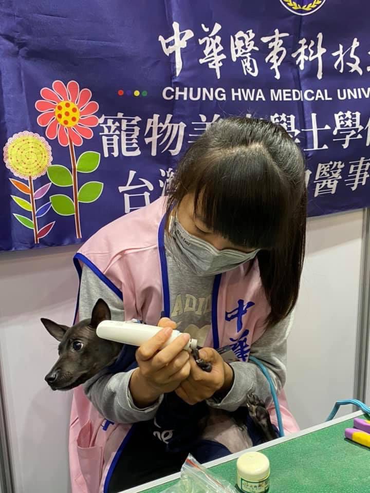 中華醫大寵護系攜手產官學界    4月26、27日在台南市南區舉喜公園舉辦「搖尾草狗狗派對」
