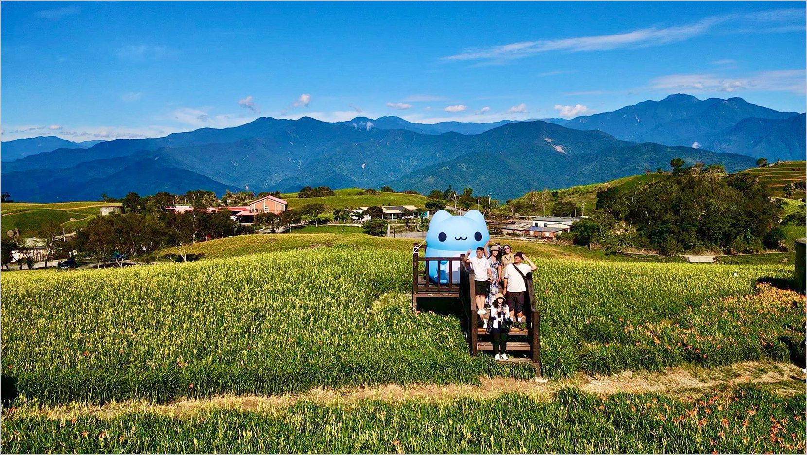 花蓮富里這Young玩！咖波帶你玩出金針花樣夏日