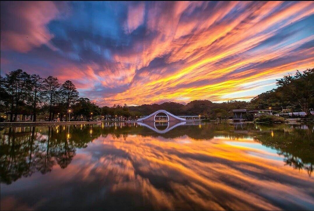 101國際繪畫賽　畫出心中最美公園