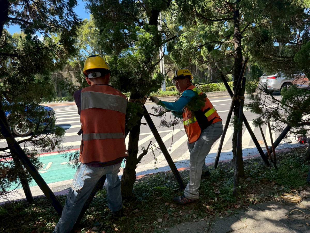 北市公園處啟動防颱機制　完成楊柳颱風防災整備