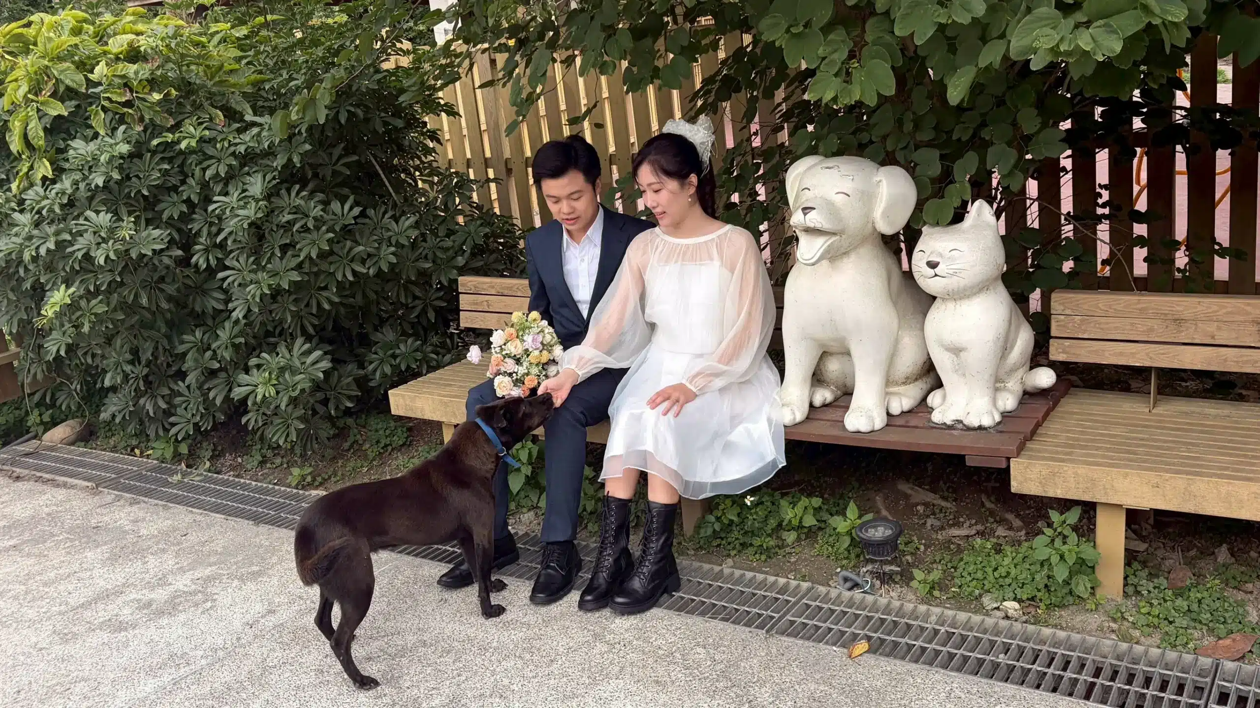 黑貓牽紅線　資深動保人攜手愛妻到中和動物之家拍婚紗　用愛傳遞生命教育