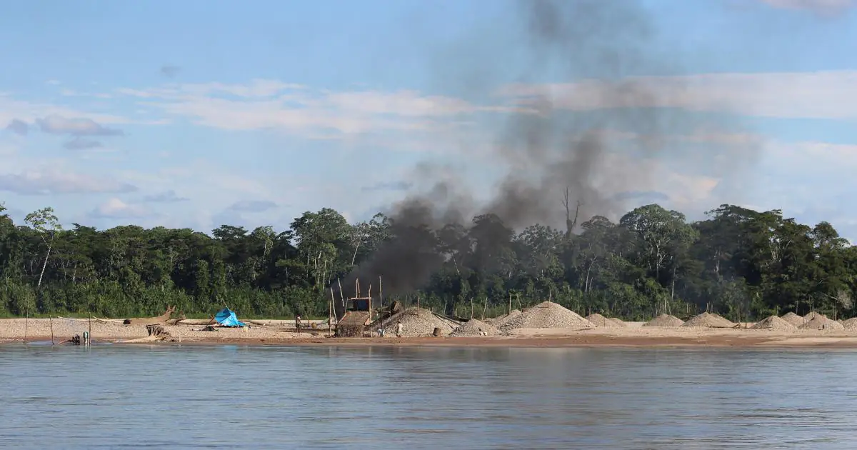 獵殺「亞馬遜毒金」！百兆產值引爆修復商機 合法化監管，能否成為雨林救贖？